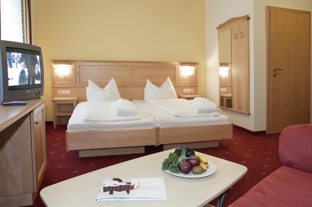 Hotel Aktiv Weisser Hirsch - Camera