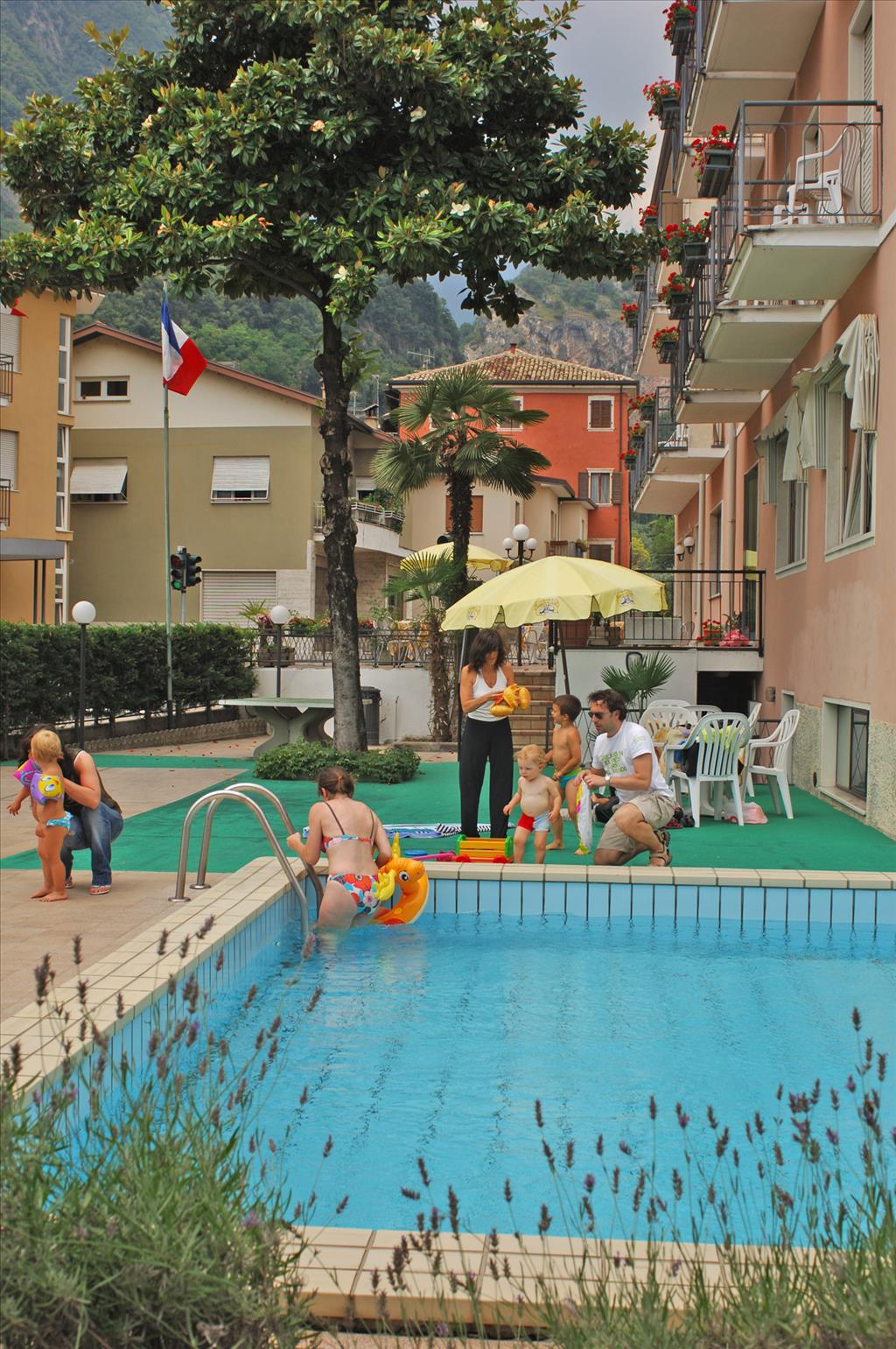 Hotel Alberello - Piscina