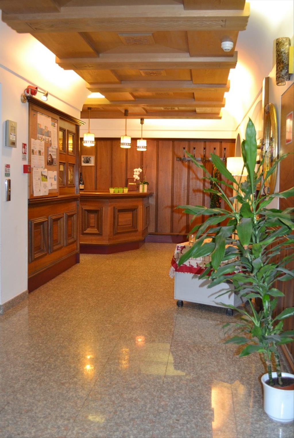 Hotel Alpenblick - Reception