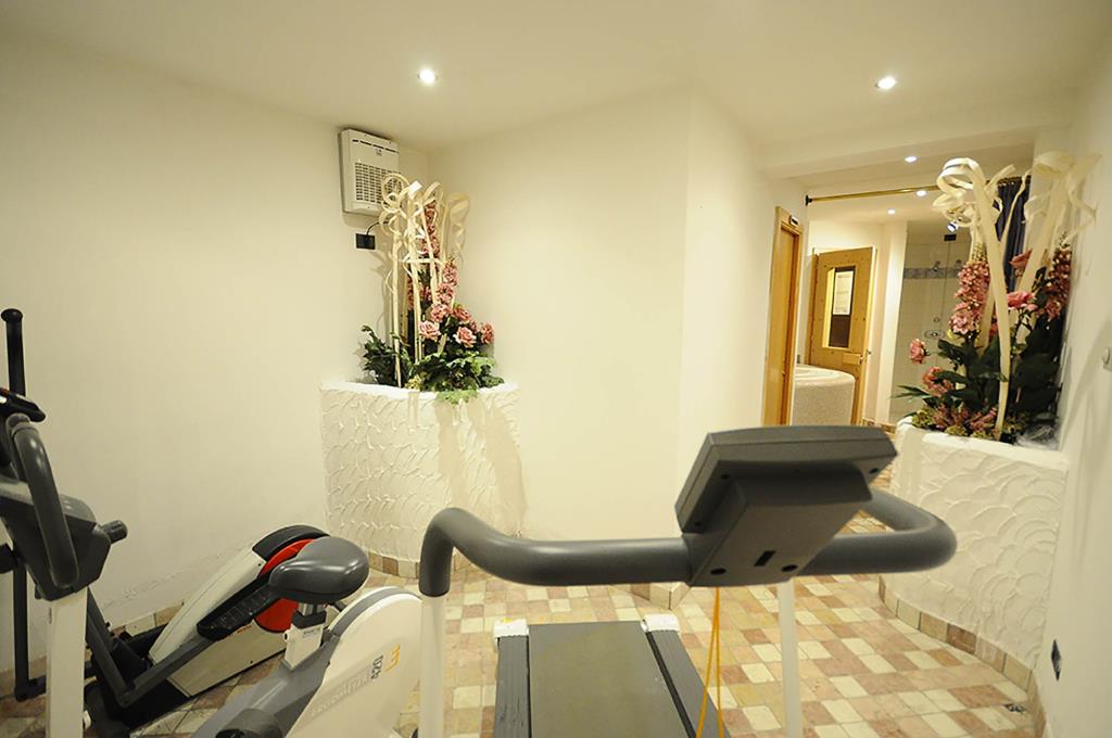 Hotel Alpenrose - Palestra