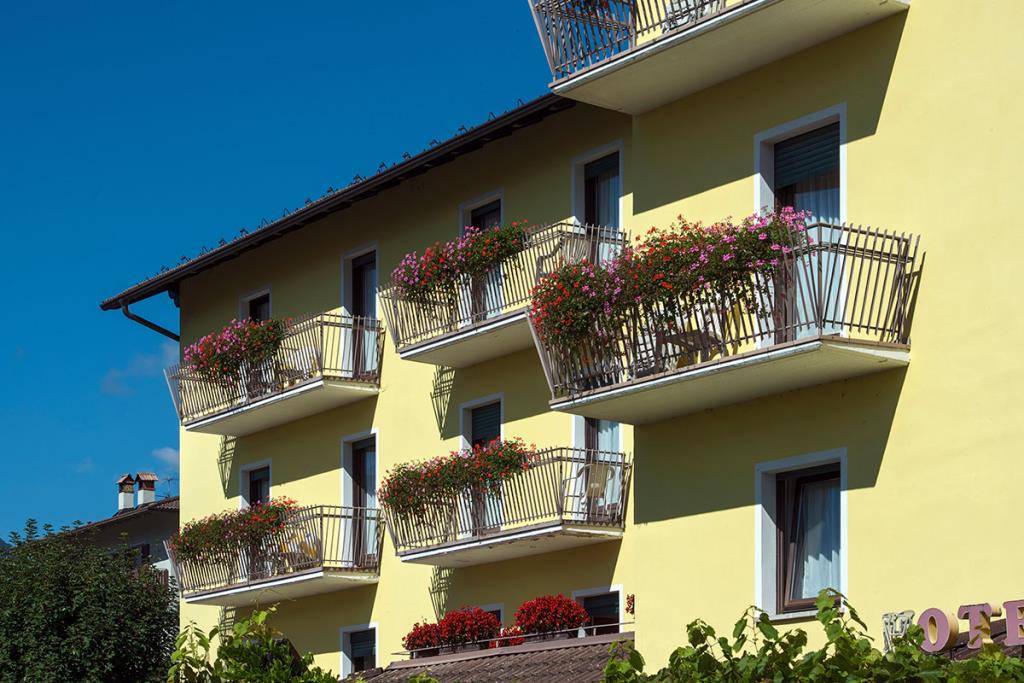 Hotel Alpino - 