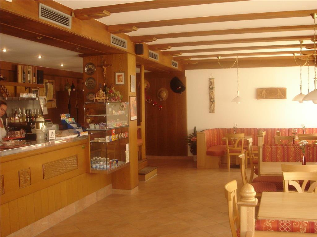 Hotel Alpino Plan - Bar
