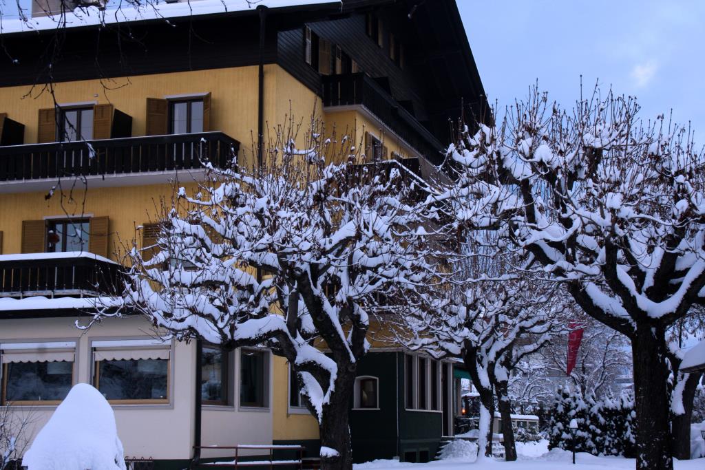 Hotel Andreas Hofer - Esterno