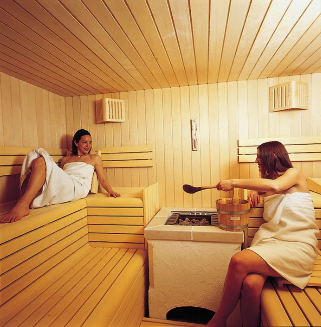 Hotel Arnica  - Sauna
