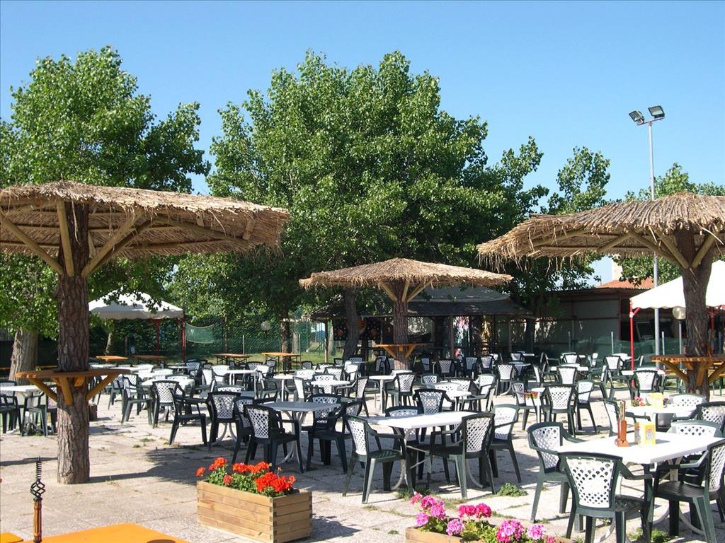 Camping  Classe - BarEsterno