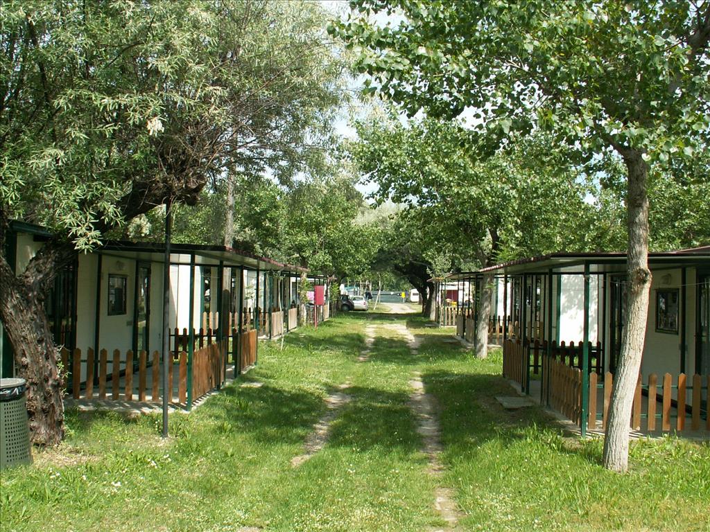 Camping  Classe - Vialetto