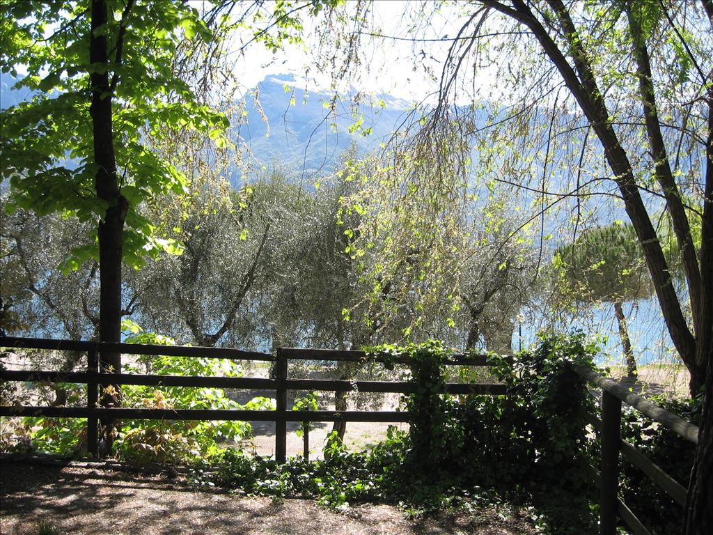 Camping  Garda - Esterno