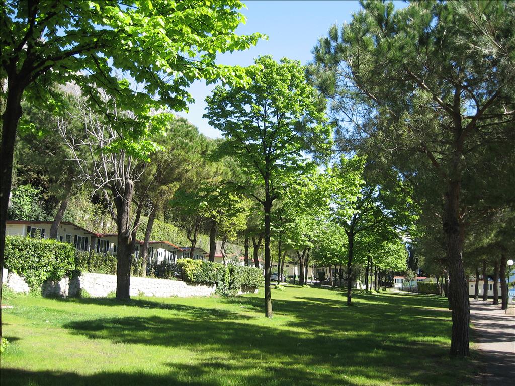 Camping  Garda - Esterno
