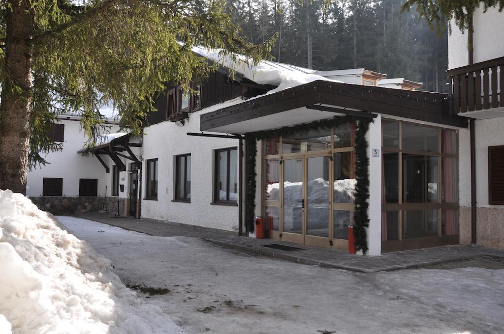 Hotel Casa Alpina - Ingresso