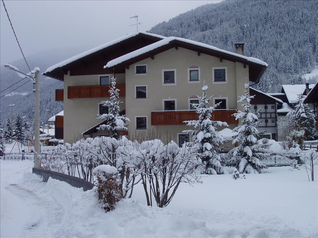 Residence Casa Martinelli - Neve