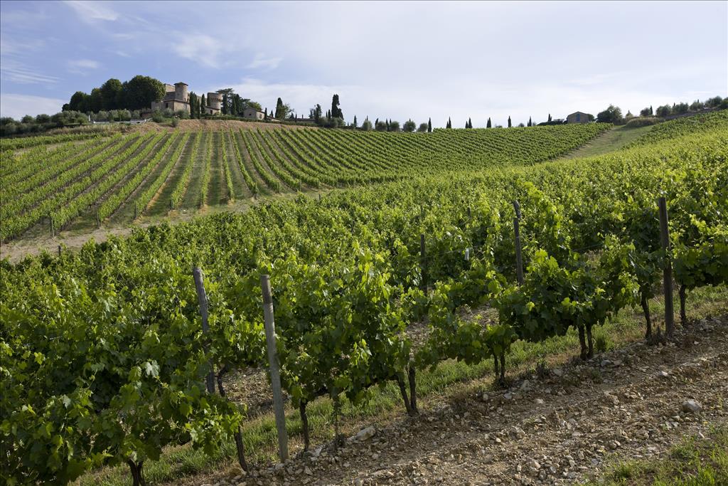 Agriturismo Castello di Meleto  - Gaiole in Chianti