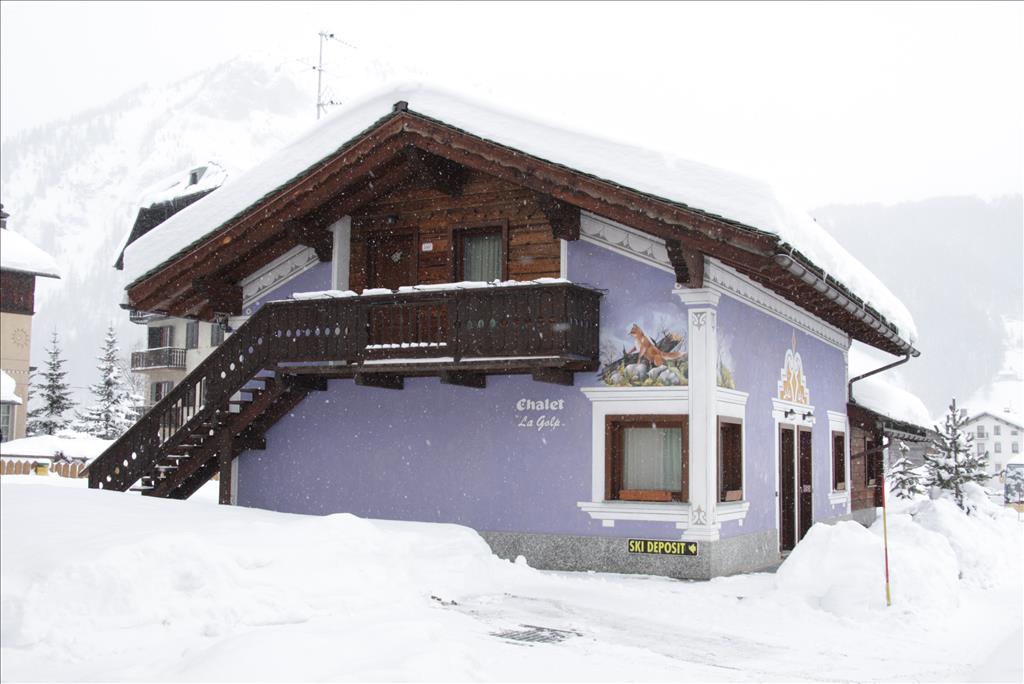 Appartamenti  Chalet La Golp - Pineta - Esterno