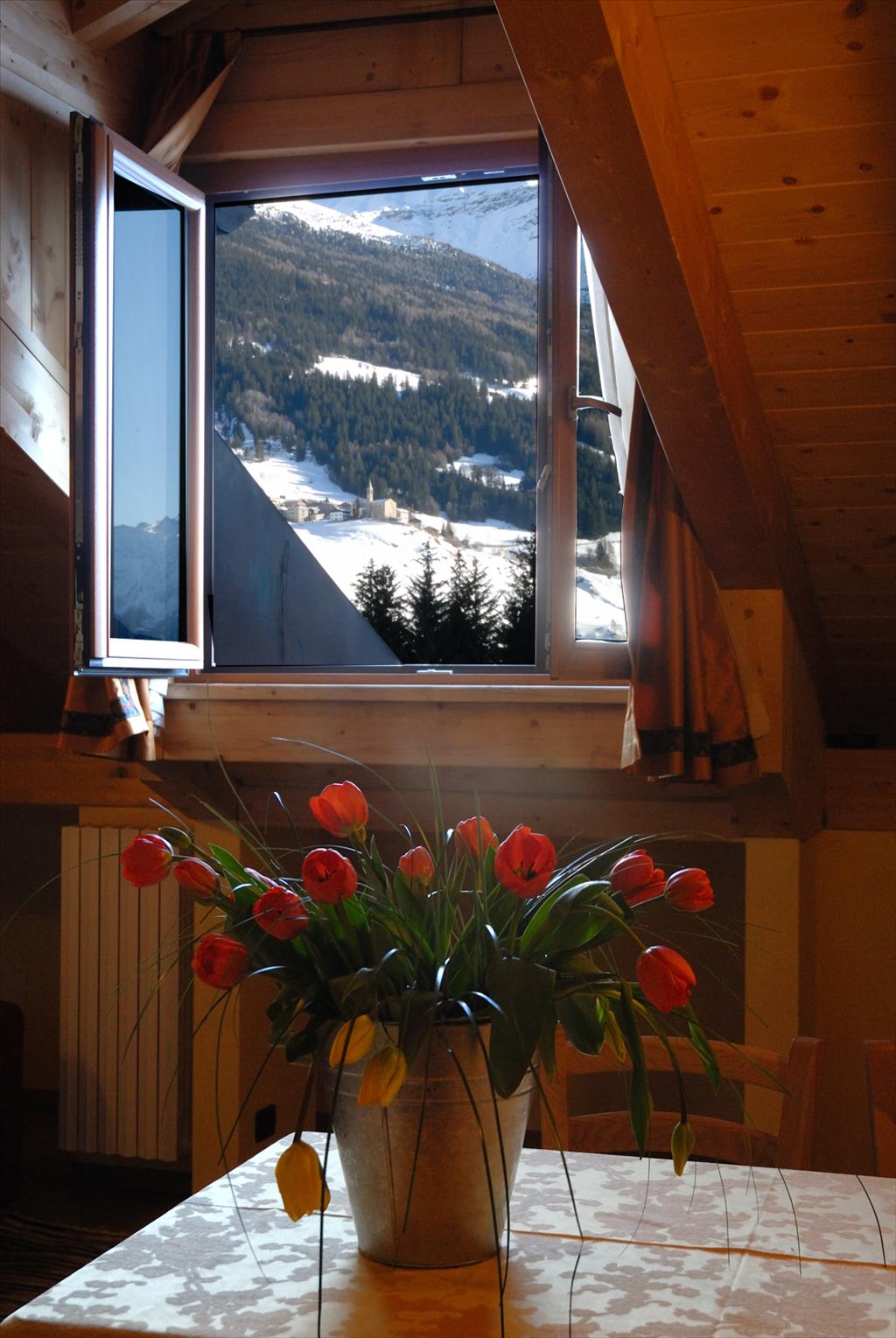 Appartamenti  Chalet Stelle di Neve - Panoramica