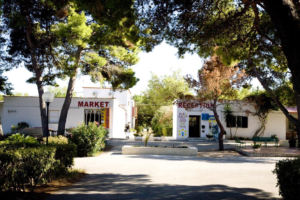 Camping  Cinque stelle - Esterno