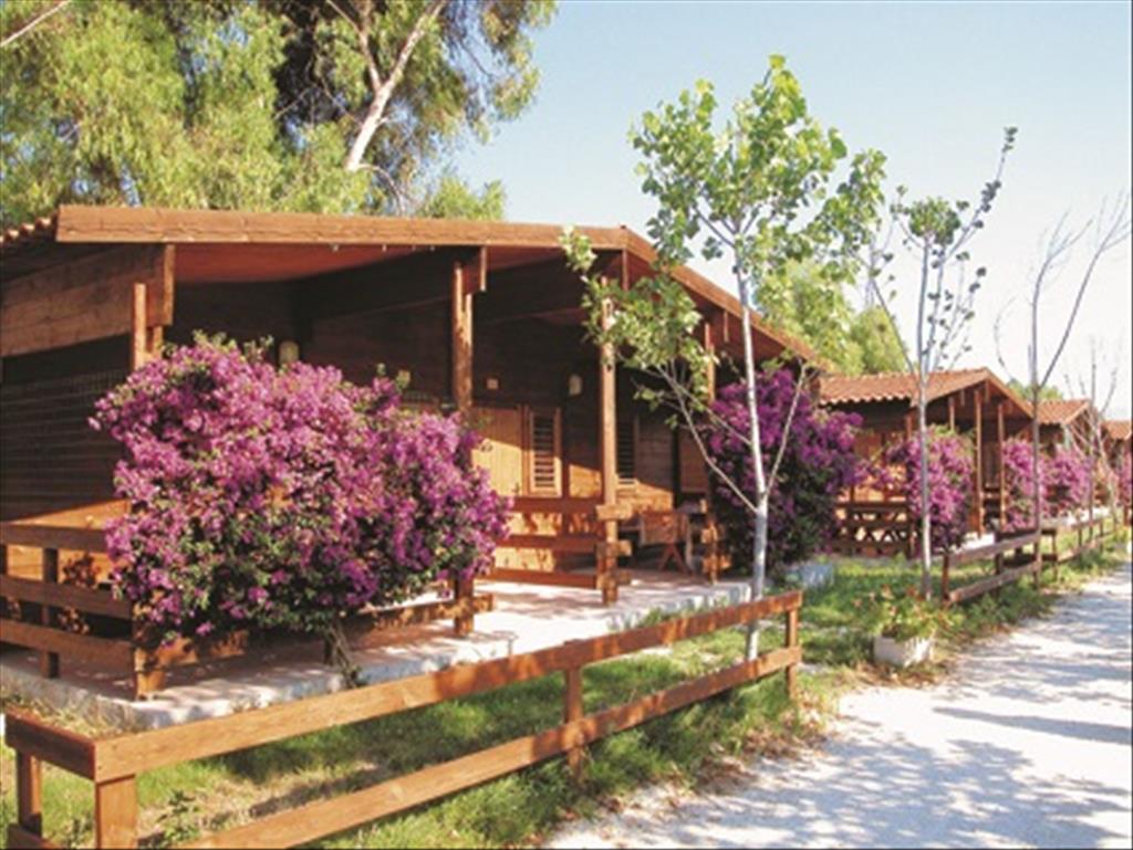 Camping  Cinque stelle - Esterno