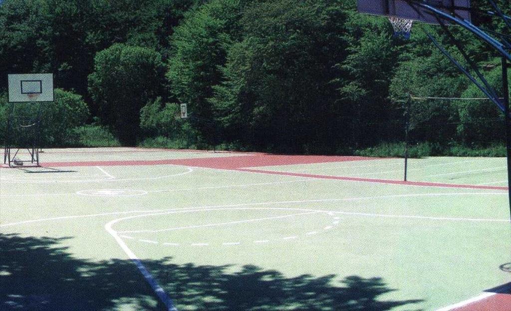 Hotel Delberg Palace - Basket