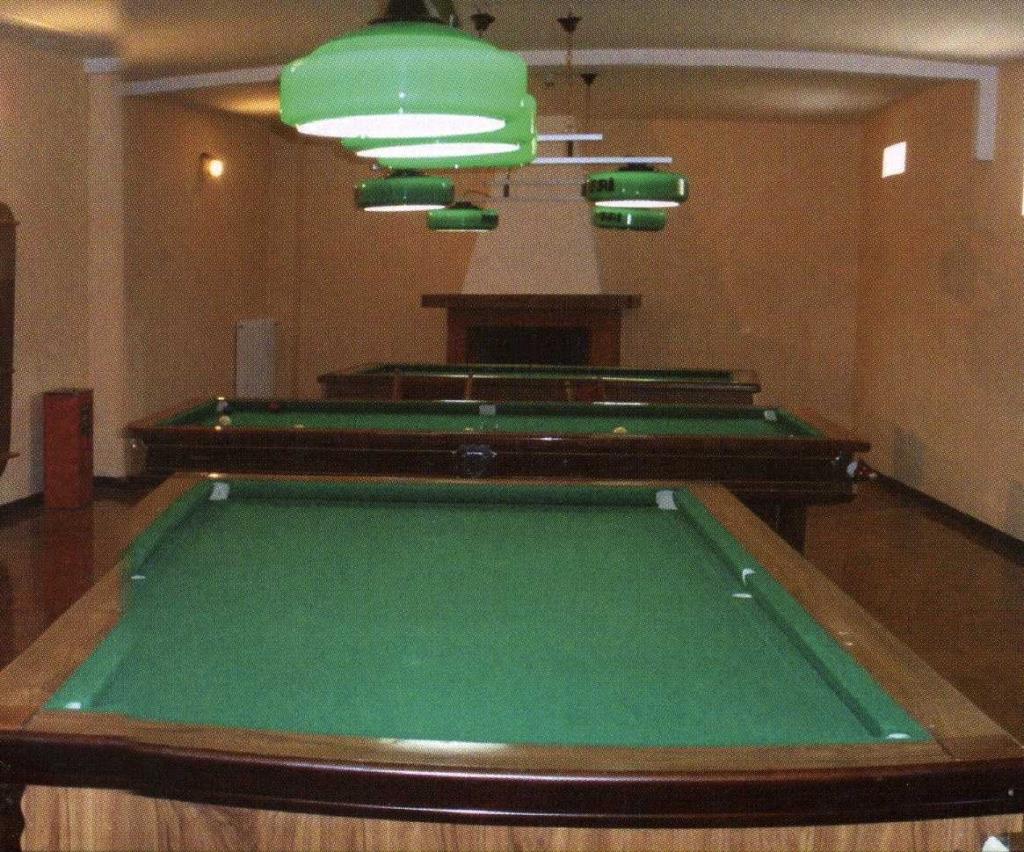 Hotel Delberg Palace - Biliardo
