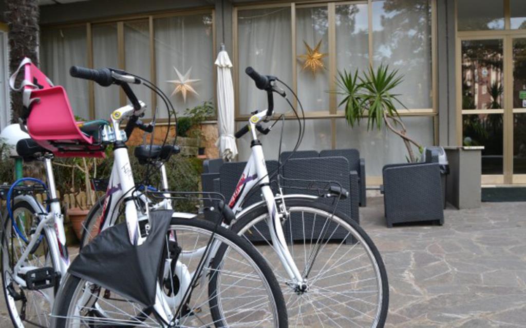 Hotel Delle Terme - Bici