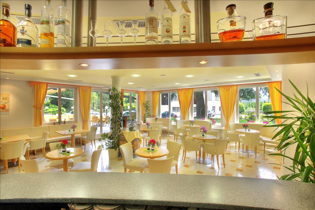 Hotel Des Alpes - Bar