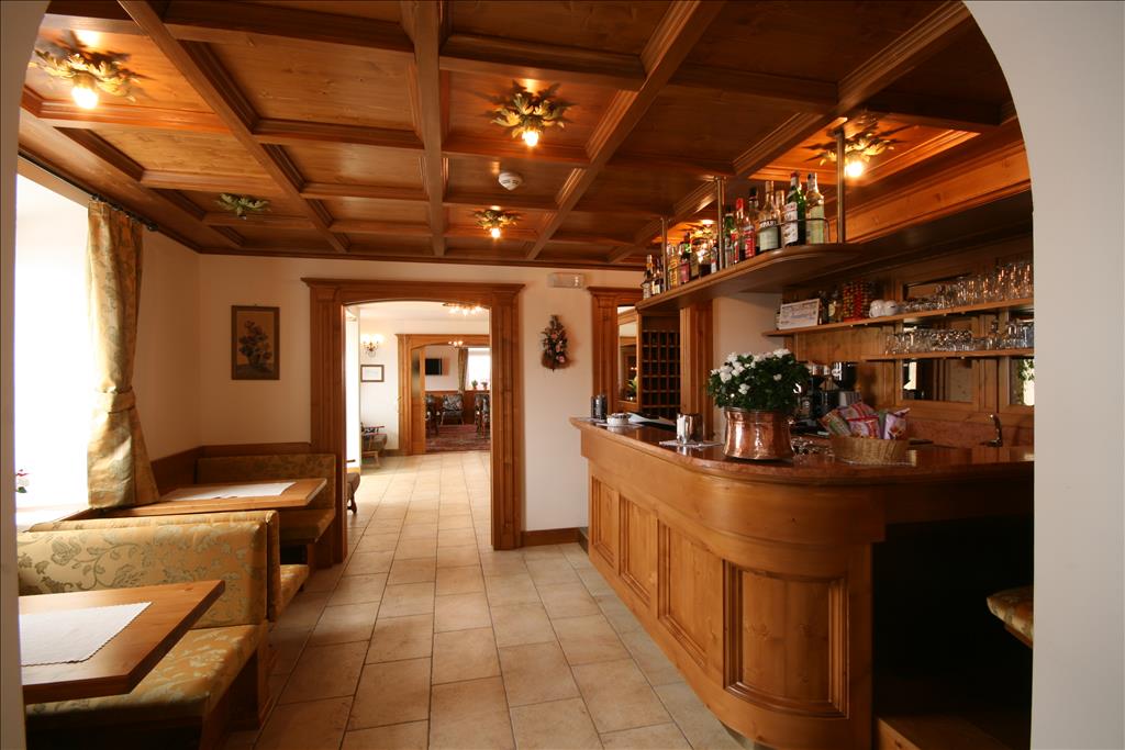 Hotel Des Alpes - Bar