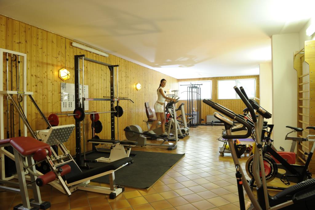 Aparthotel Des Alpes - Palestra