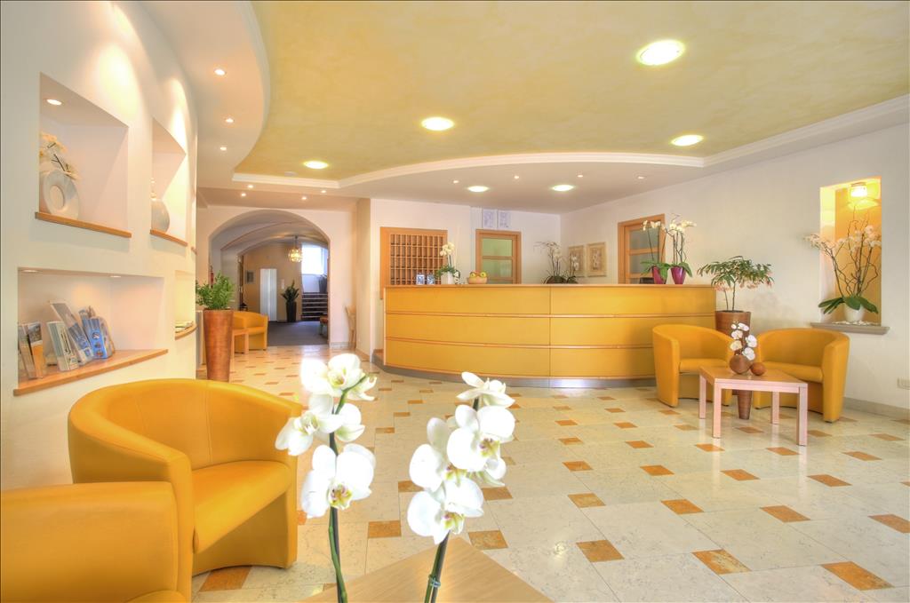 Hotel Des Alpes - Reception