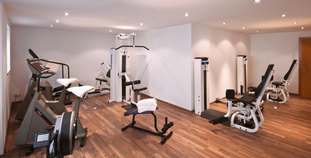Hotel Edelweiss Alpenhotel - Palestra