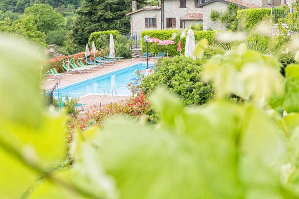 Hotel Elisa - Piscina
