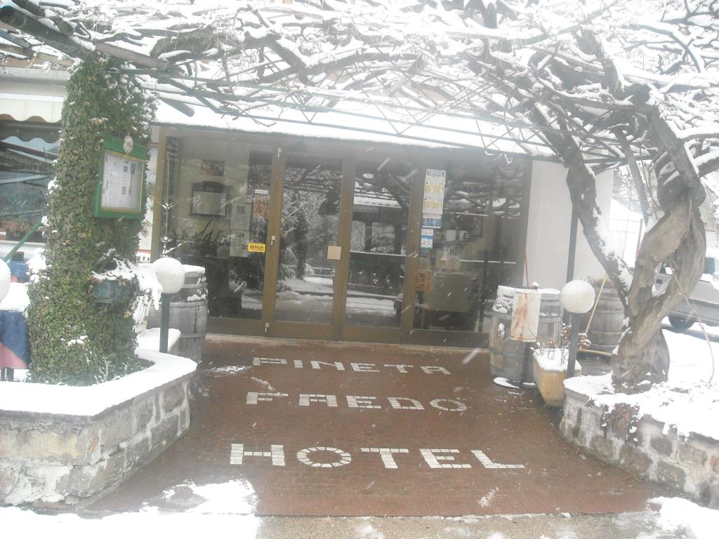 Hotel Faedo Pineta - Esterno