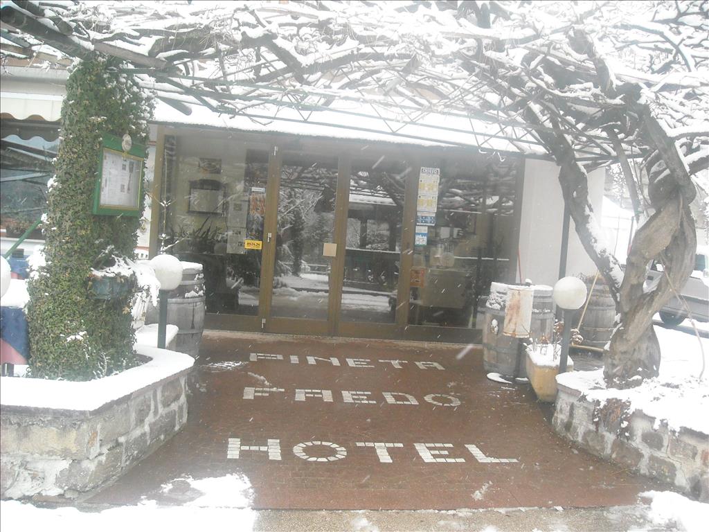 Hotel Faedo Pineta - Esterno