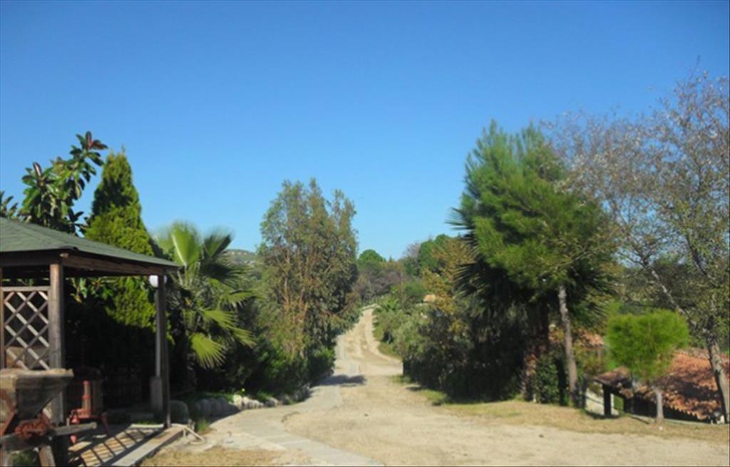 Agriturismo Fassi - Esterno