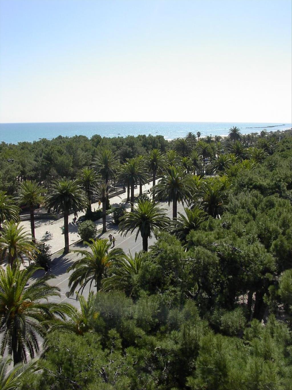 Hotel Garden - Panorama