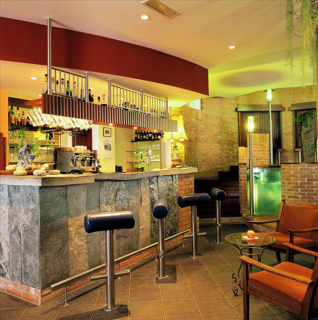 Hotel Goldene Krone - Bar