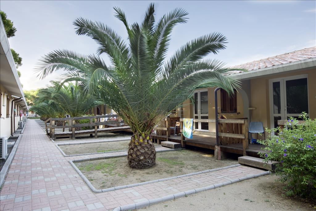 Villaggio Golfo degli Etruschi - Albinia