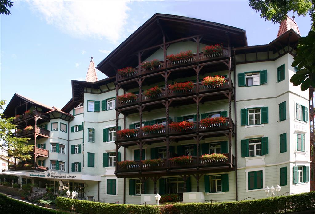 Hotel Grüner Baum/ Residence Gasser - ResidenceGasser