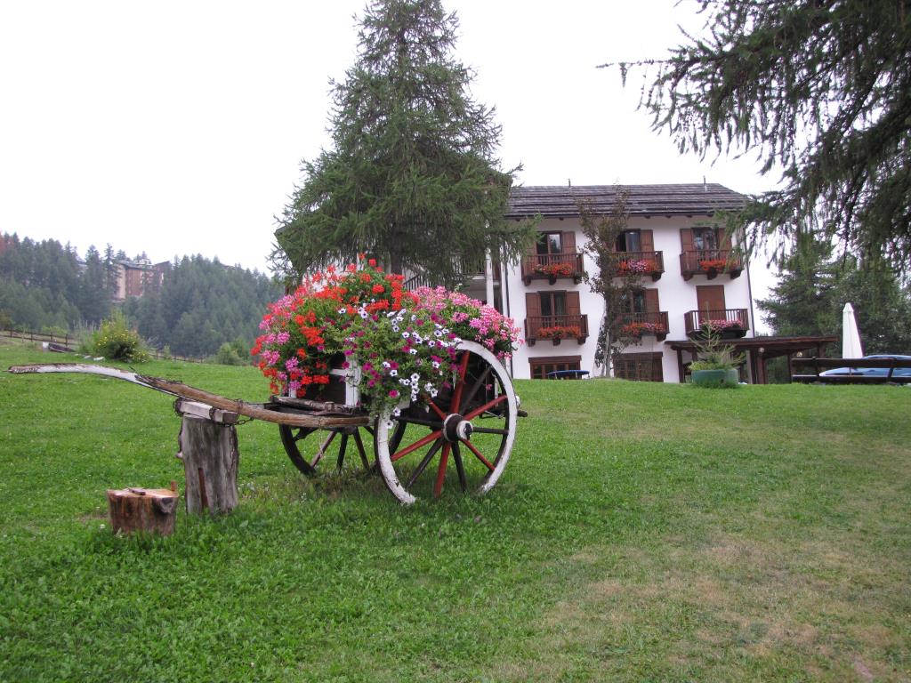 Hotel Gran Bosco - Esterno