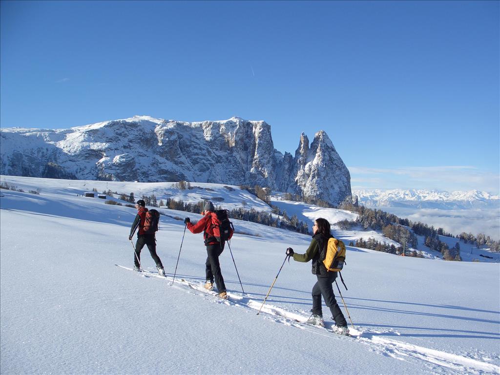 Hotel Kastel Seiseralm - Panorama