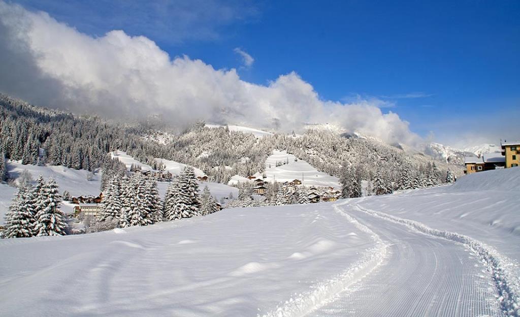 Hotel La Molinella - Panorama
