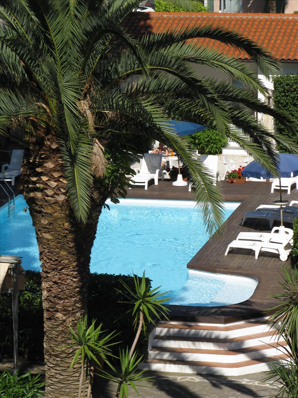 Hotel La Primula - Piscina
