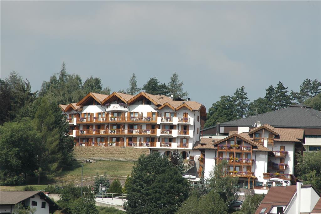 Hotel La Roccia - Cavalese