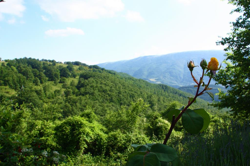 Agriturismo La tavola dei Cavalieri - Dintorni