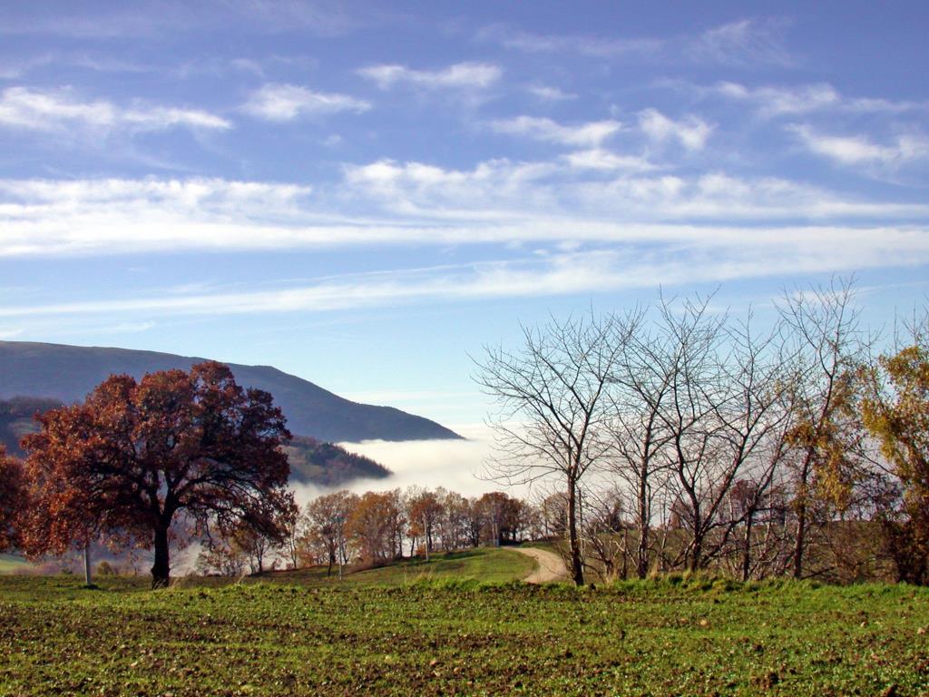Agriturismo Le Case di Campagna - Esterno