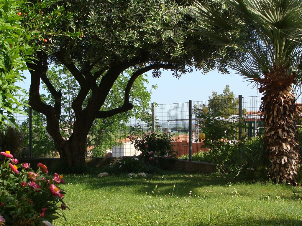 Residence Le Palme - Esterno