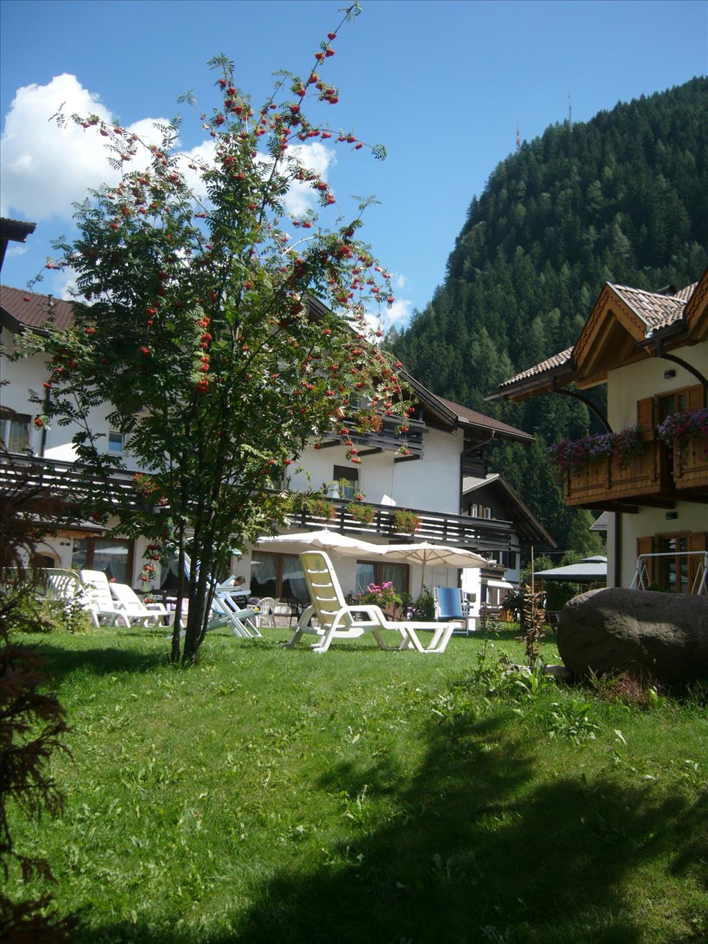 Hotel Liz - Giardino