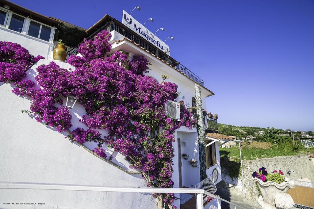 Hotel Magnolia - 