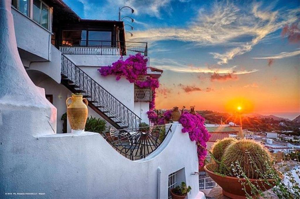 Hotel Magnolia - 
