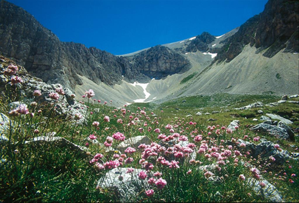 Hotel Mamma Rosa - Dintorni