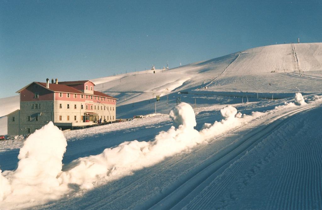 Hotel Mamma Rosa - Esterno