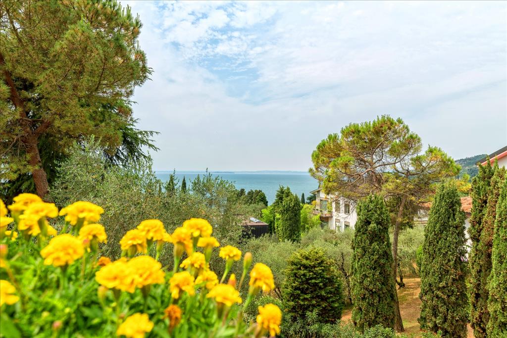 Hotel Marco Polo - Panorama