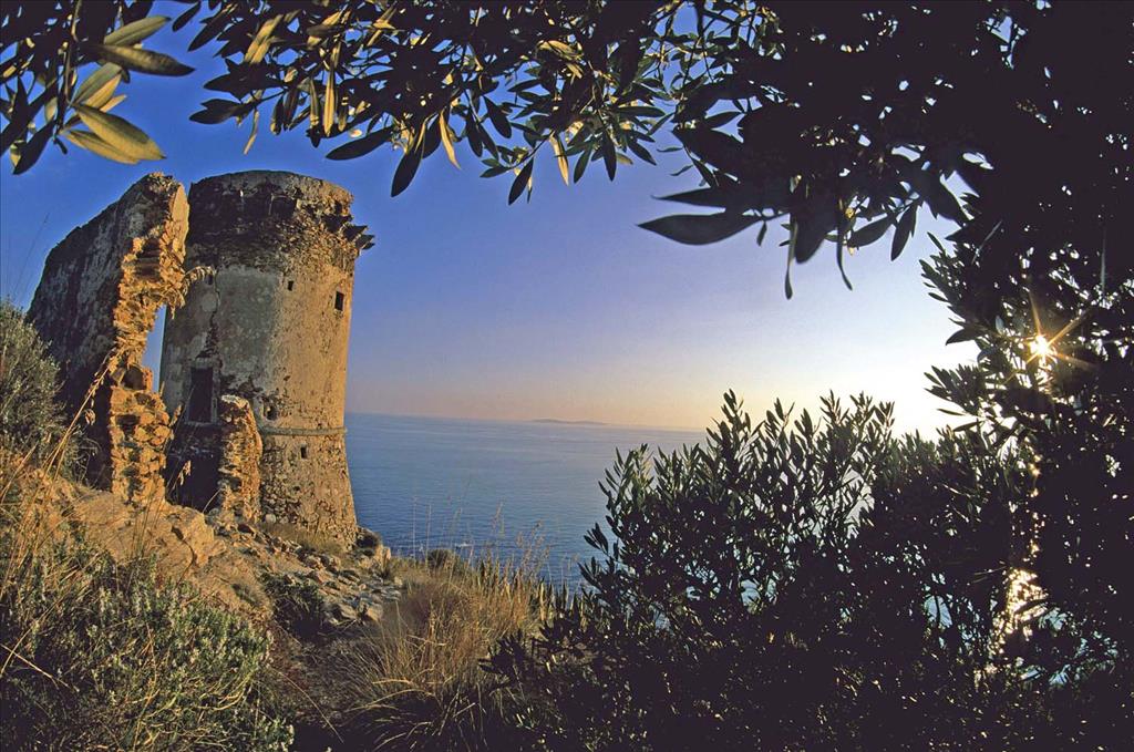 Hotel Mediterraneo - 